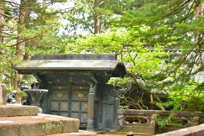 DSC_3905 (Large).JPG